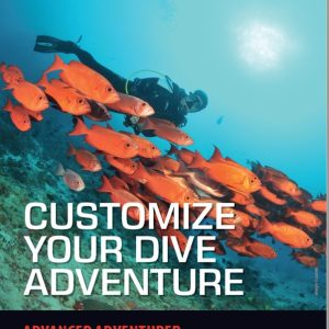 SSI Advanced Adventurer